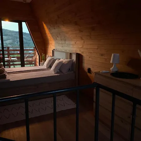 Grujic * 维尔蒂尼克