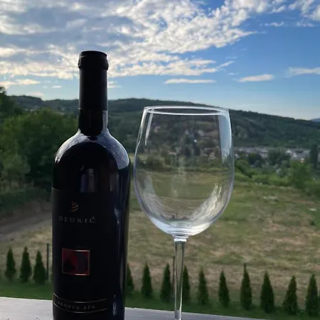 Grujic 别墅 维尔蒂尼克