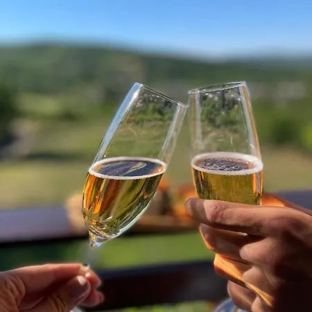 Grujic * 维尔蒂尼克