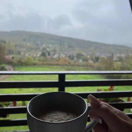 Villa Grujic Vrdnik